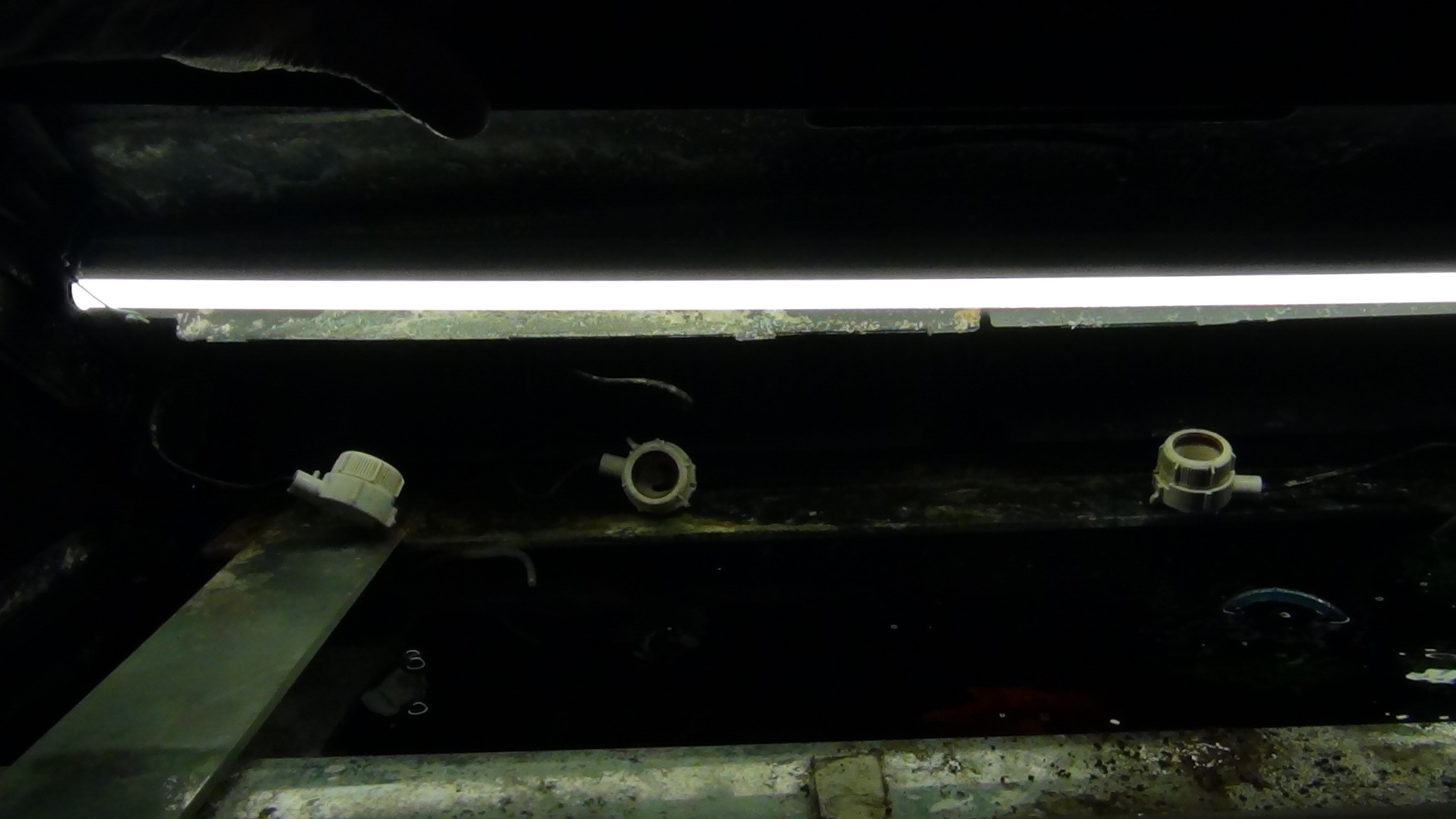 Светодиодный светильник ЭРА LLED-01, установленный в крышку аквариума светильник